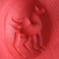 Af 0046 bague sceau intaille turquoise pegase afghane 5